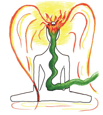 Blue lotus inviting viewers into contemplative practice